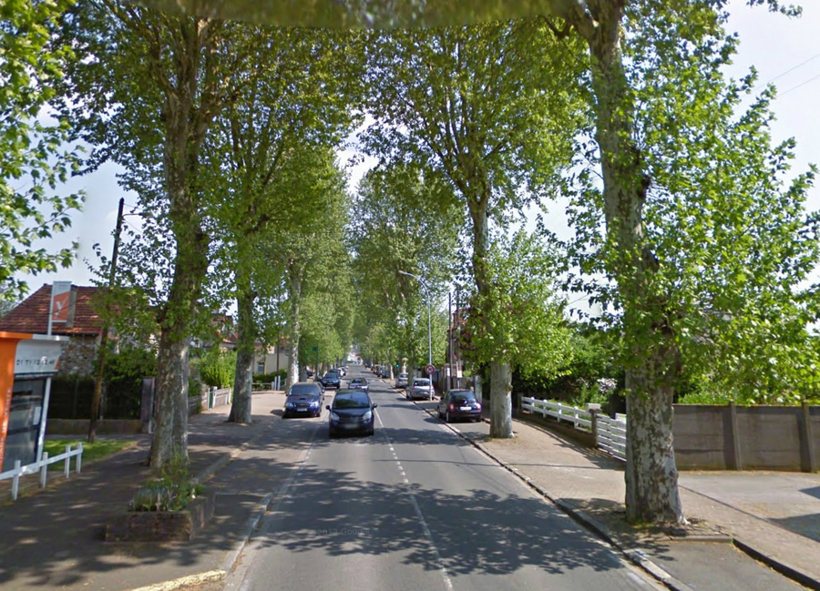 avenue Charles de Gaule Marolles en Hurepoix avant l'abattage de dizaine de platanes