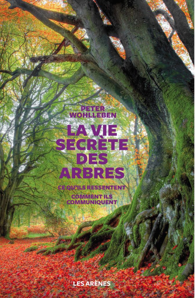 LA-VIE-SECRETE-DES-ARBRES